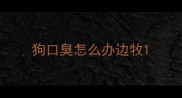 狗口臭怎么办边牧