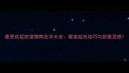 最受欢迎的宠物狗名字大全萌宠起名技巧与创意灵感