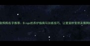爆款狗狗名字推荐Bingo的养护指南与训练技巧让爱宠秒变朋友圈网红