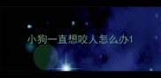 小狗一直想咬人怎么办