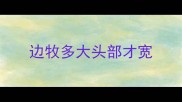 边牧多大头部才宽