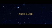 边牧脱毛怎么回事