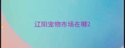 辽阳宠物市场在哪