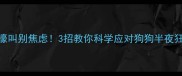 深夜嚎叫别焦虑3招教你科学应对狗狗半夜狂吠