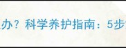 哈士奇长杂毛怎么办科学养护指南5步解决毛色不均问题
