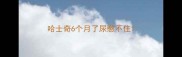 哈士奇6个月了尿憋不住