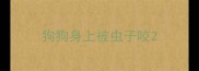 狗狗身上被虫子咬