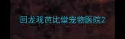 回龙观芭比堂宠物医院