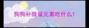 狗狗补微量元素吃什么
