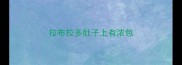 拉布拉多肚子上有浓包