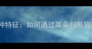猫咪耳朵的形状与品种特征如何通过耳朵判断猫的品种及健康状态