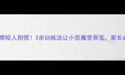 哈士奇咬人别慌3步训练法让小恶魔变乖宝家长必看