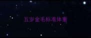 五岁金毛标准体重