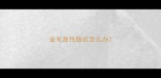 金毛急性肠炎怎么办