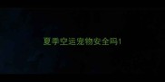 夏季空运宠物安全吗