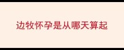 边牧怀孕是从哪天算起