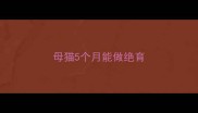 母猫5个月能做绝育