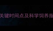 斗牛犬成年时间表3个关键时间点及科学饲养指南附成长阶段特征
