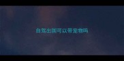 自驾出国可以带宠物吗