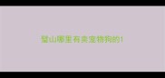 璧山哪里有卖宠物狗的