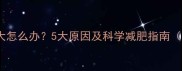 拉布拉多肚子大怎么办5大原因及科学减肥指南附护理视频