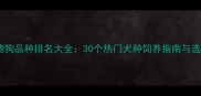 最新宠物狗品种排名大全30个热门犬种饲养指南与选购技巧