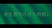 金毛喜欢吃什么狗粮