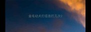 金毛幼犬打疫苗打几次