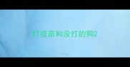 打疫苗和没打的狗