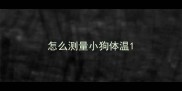 怎么测量小狗体温