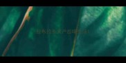 拉布拉多犬产后喝鱼汤