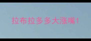 拉布拉多多大涨嘴
