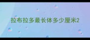 拉布拉多最长体多少厘米