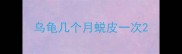 乌龟几个月蜕皮一次