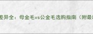 金毛犬价格差异全母金毛vs公金毛选购指南附最新市场价