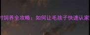 哈士奇农村饲养全攻略如何让毛孩子快速认家变乖巧