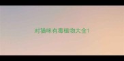 对猫咪有毒植物大全