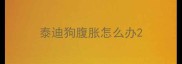 泰迪狗腹胀怎么办