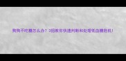 狗狗不吃糖怎么办3招教你快速判断和处理低血糖危机