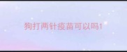 狗打两针疫苗可以吗