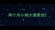 两个月小狗大便黑色
