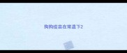 狗狗疫苗在常温下