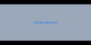 金毛幼犬精神太好