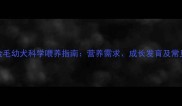 二个月金毛幼犬科学喂养指南营养需求成长发育及常见问题全