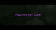 宠物店出售宠物有什么条件