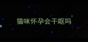 猫咪怀孕会干呕吗