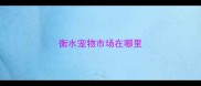 衡水宠物市场在哪里