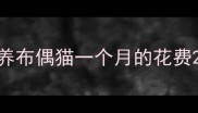 养布偶猫一个月的花费