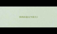 狗狗的腿关节肿大