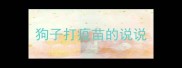狗子打疫苗的说说
